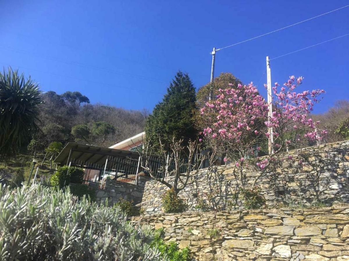 Apartamento Vista Portofino Rapallo Exterior foto