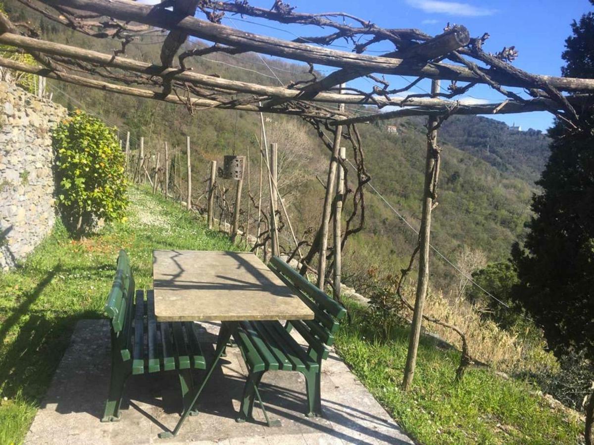 Apartamento Vista Portofino Rapallo Exterior foto